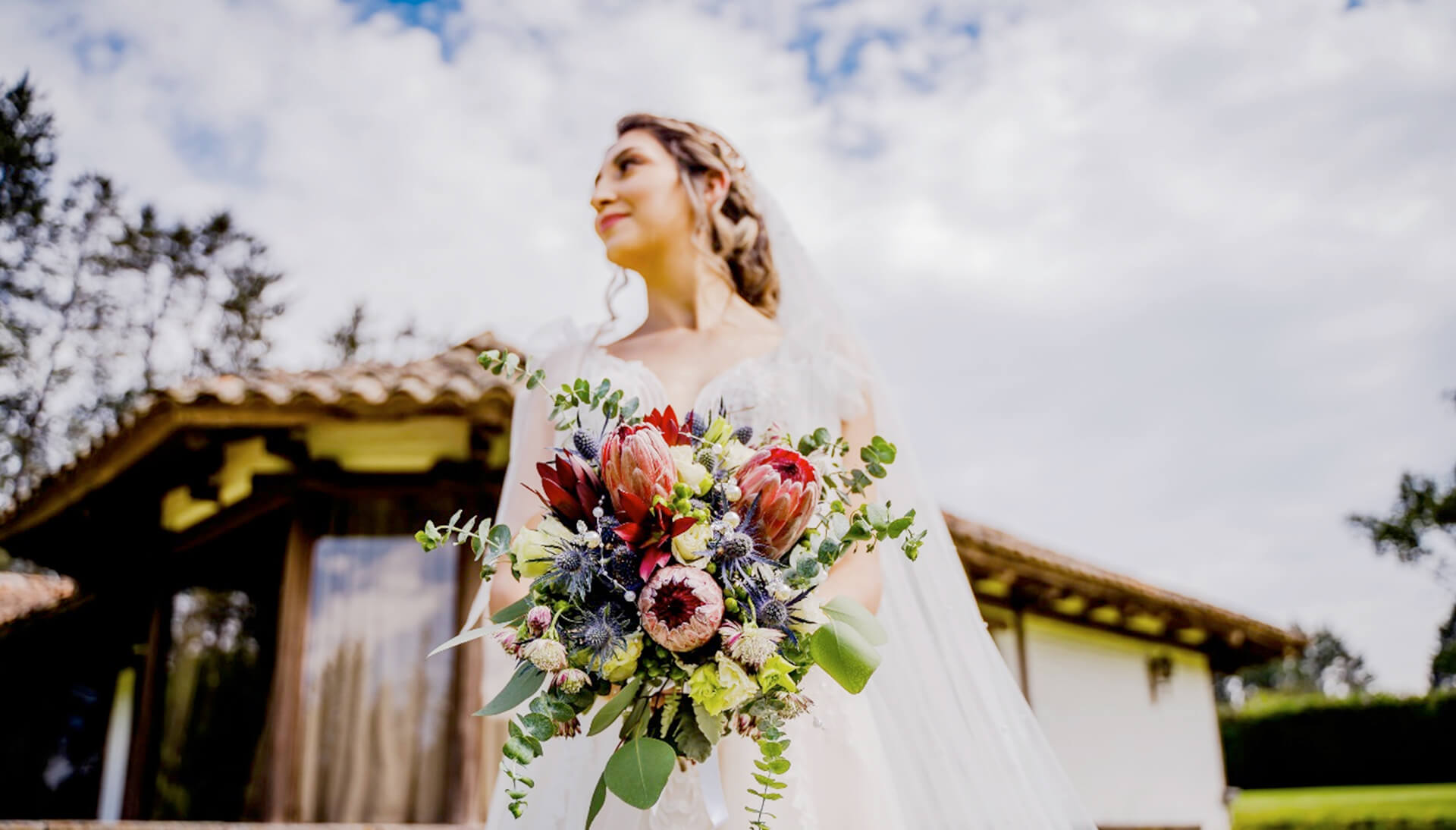 Protea, the perfect flower for weddings