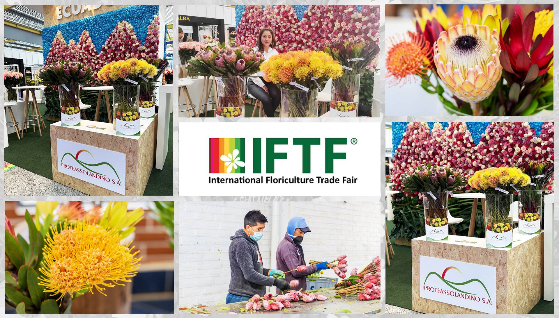 Dejando huella en la IFTF 2023