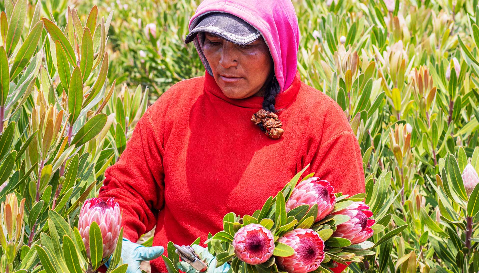 Flowers and women: celebrating the beauty and power that joins us together.