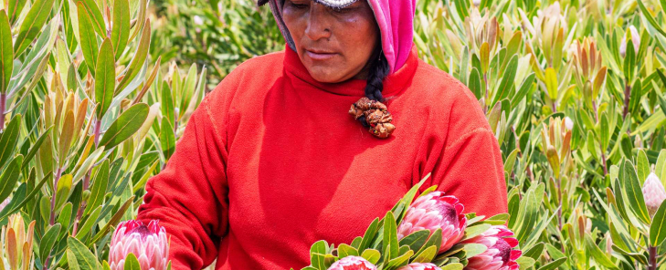 Flowers and women: celebrating the beauty and power that joins us together.