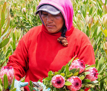 Flores y Mujeres: Celebrando la belleza y la fuerza que nos une